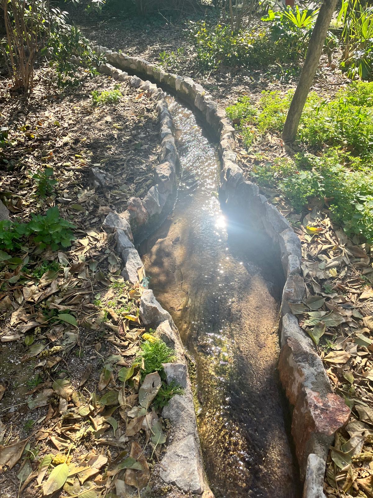 Days 6&7 Athens Greece