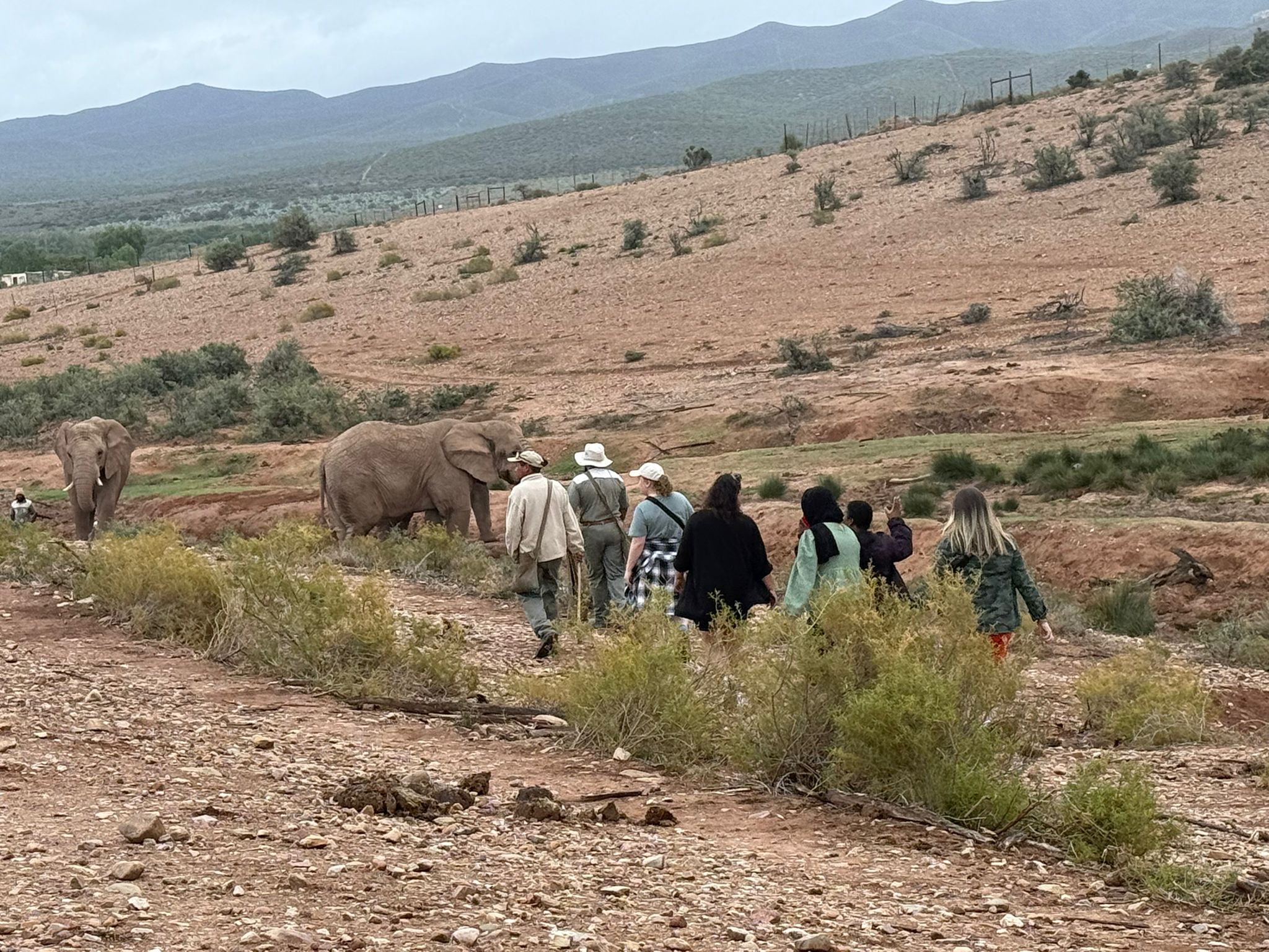 Day 6 - South Africa