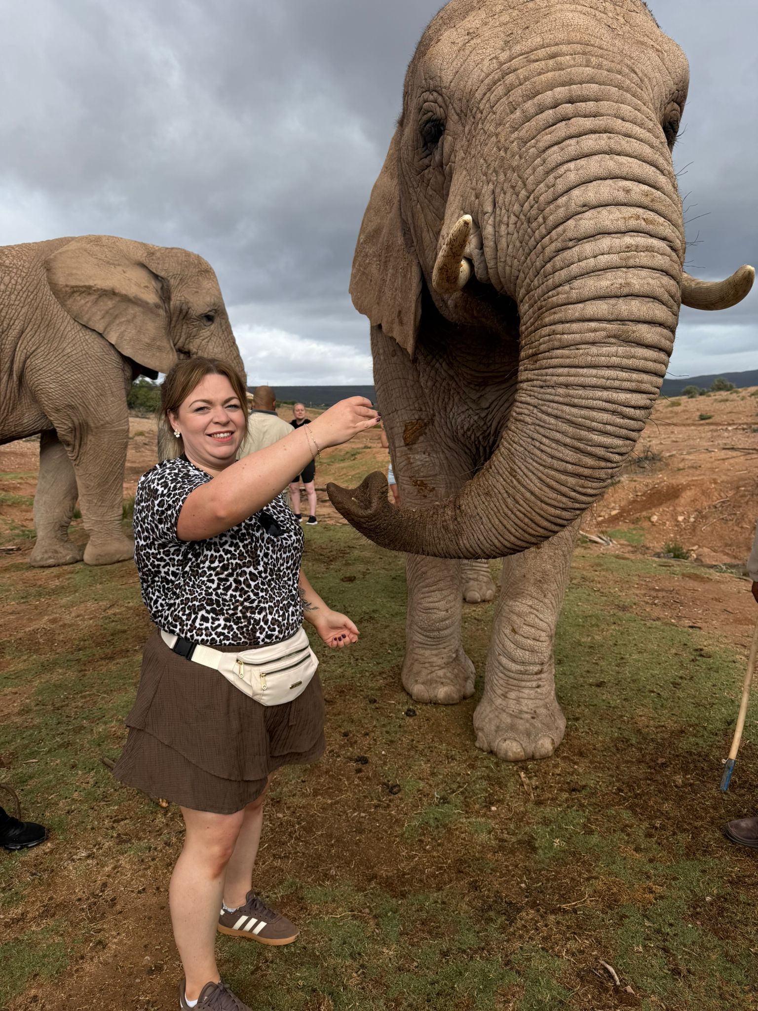 Day 6 - South Africa