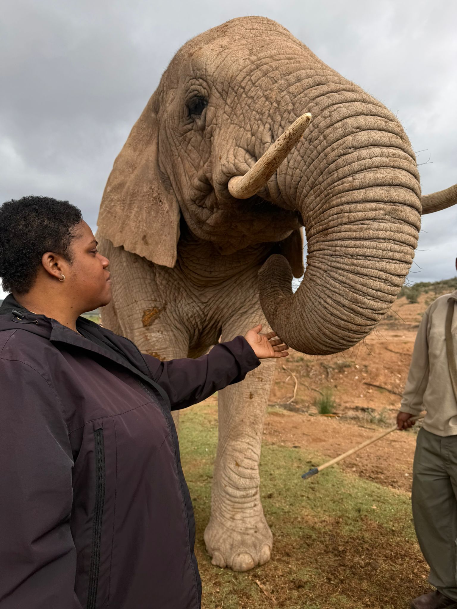 Day 6 - South Africa