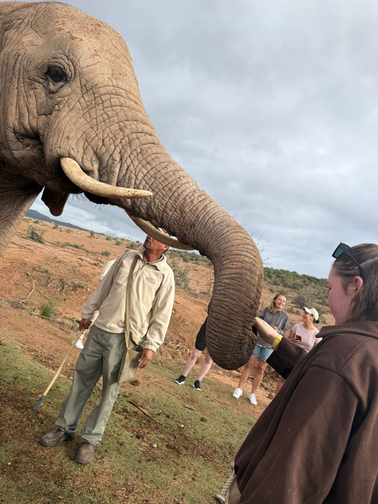 Day 6 - South Africa