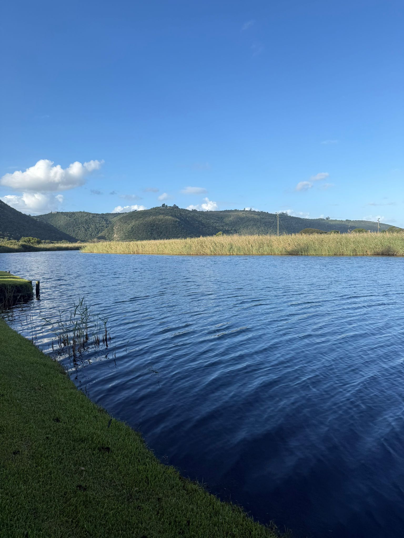 Day 6 - South Africa