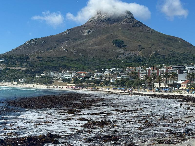 Beach in Cape Town
