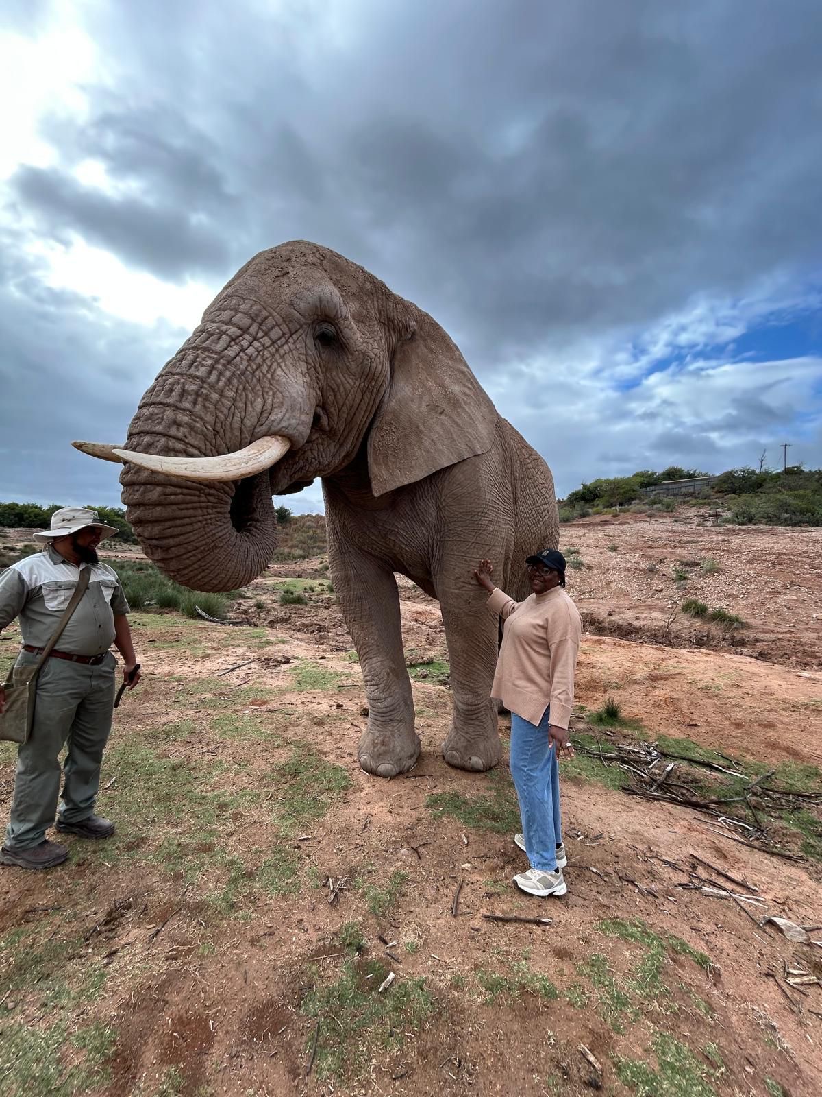 Day 6 - South Africa