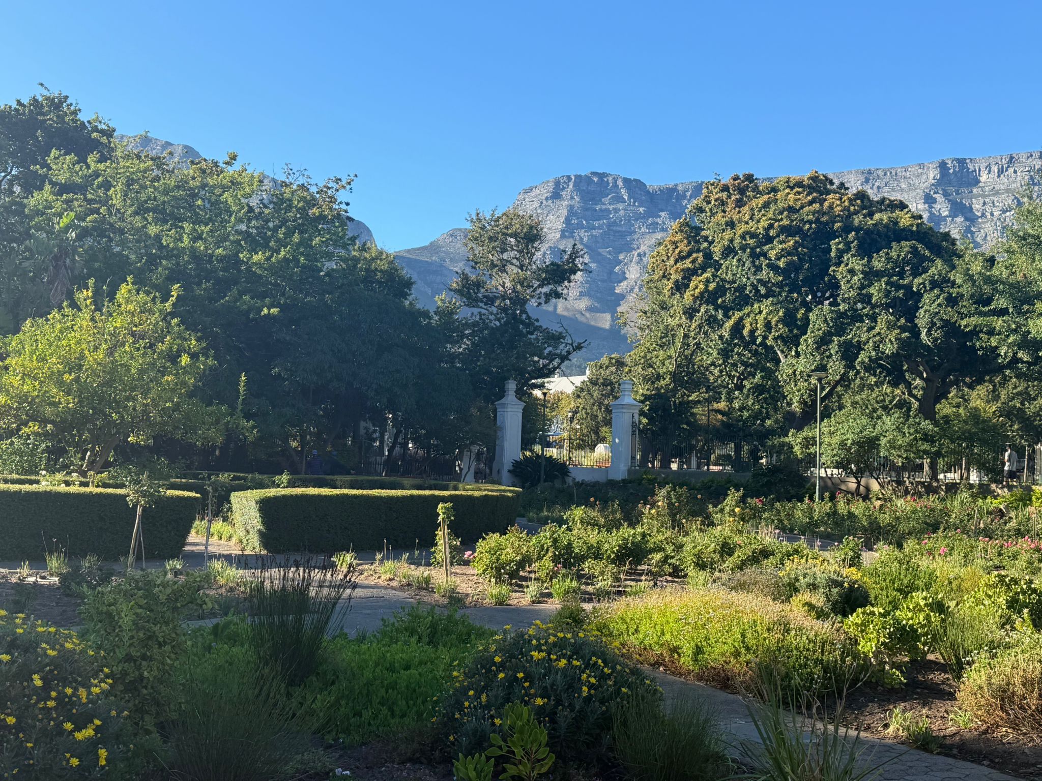 Day 8 - South Africa